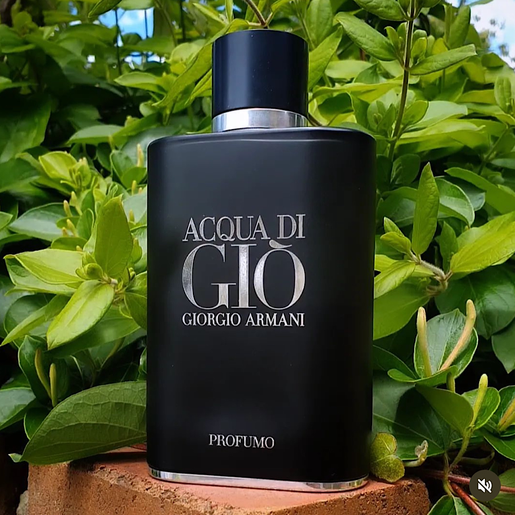 acqua die gio profumo